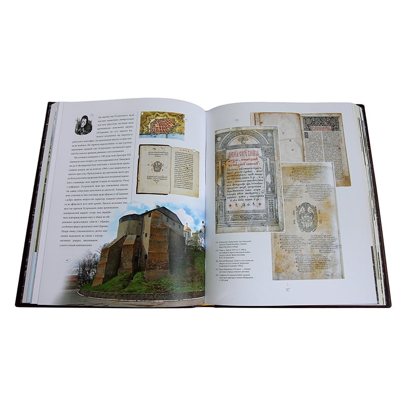 Книга в кожаном переплете Князі Острозькі brown leather