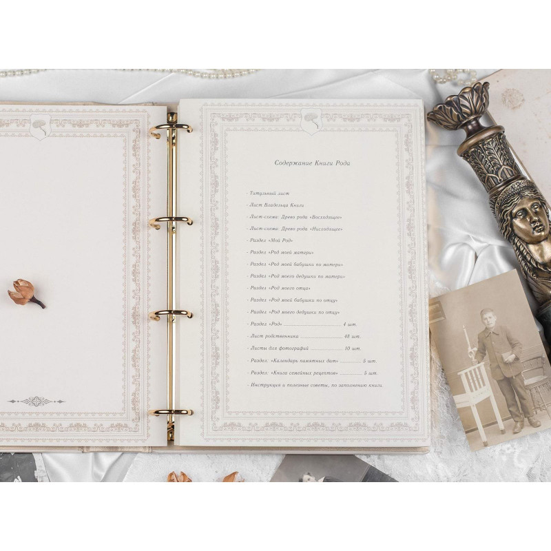 Родословная книга Манускрипт brown leather