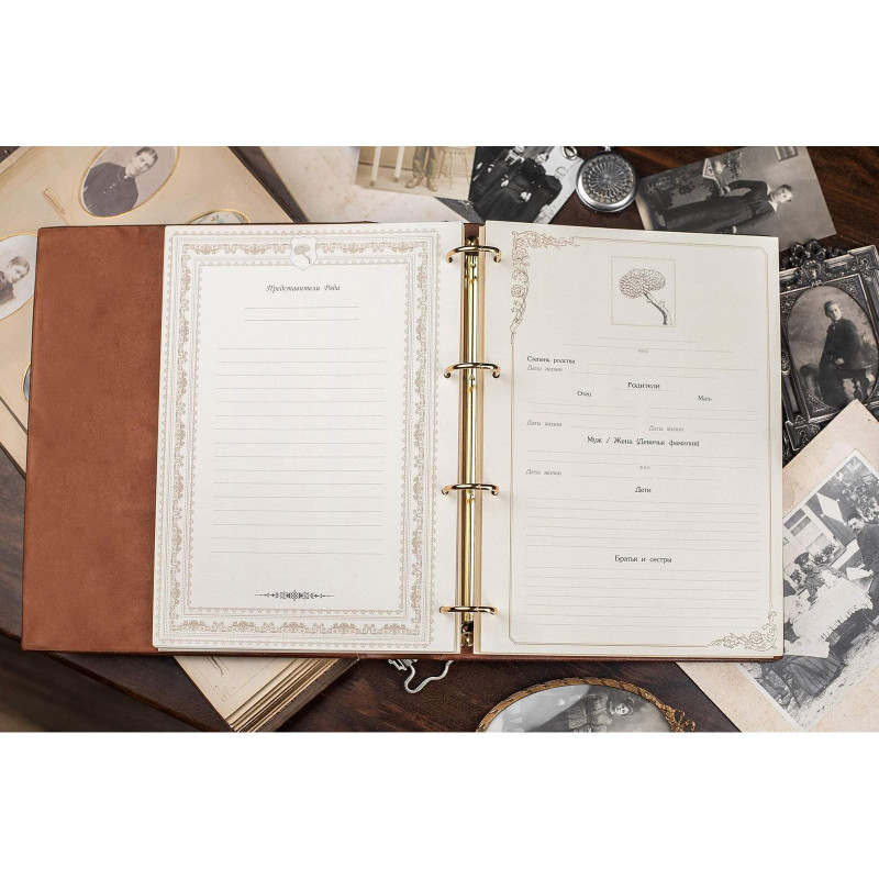 Родословная книга Манускрипт brown leather