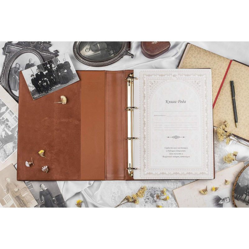Семейная летопись История рода brown leather