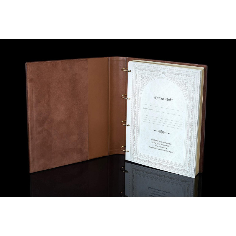 Сімейний літопис історія роду brown leather